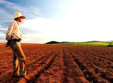A Lei de Terras instaurou uma política agrária excludente que ainda prejudica o país